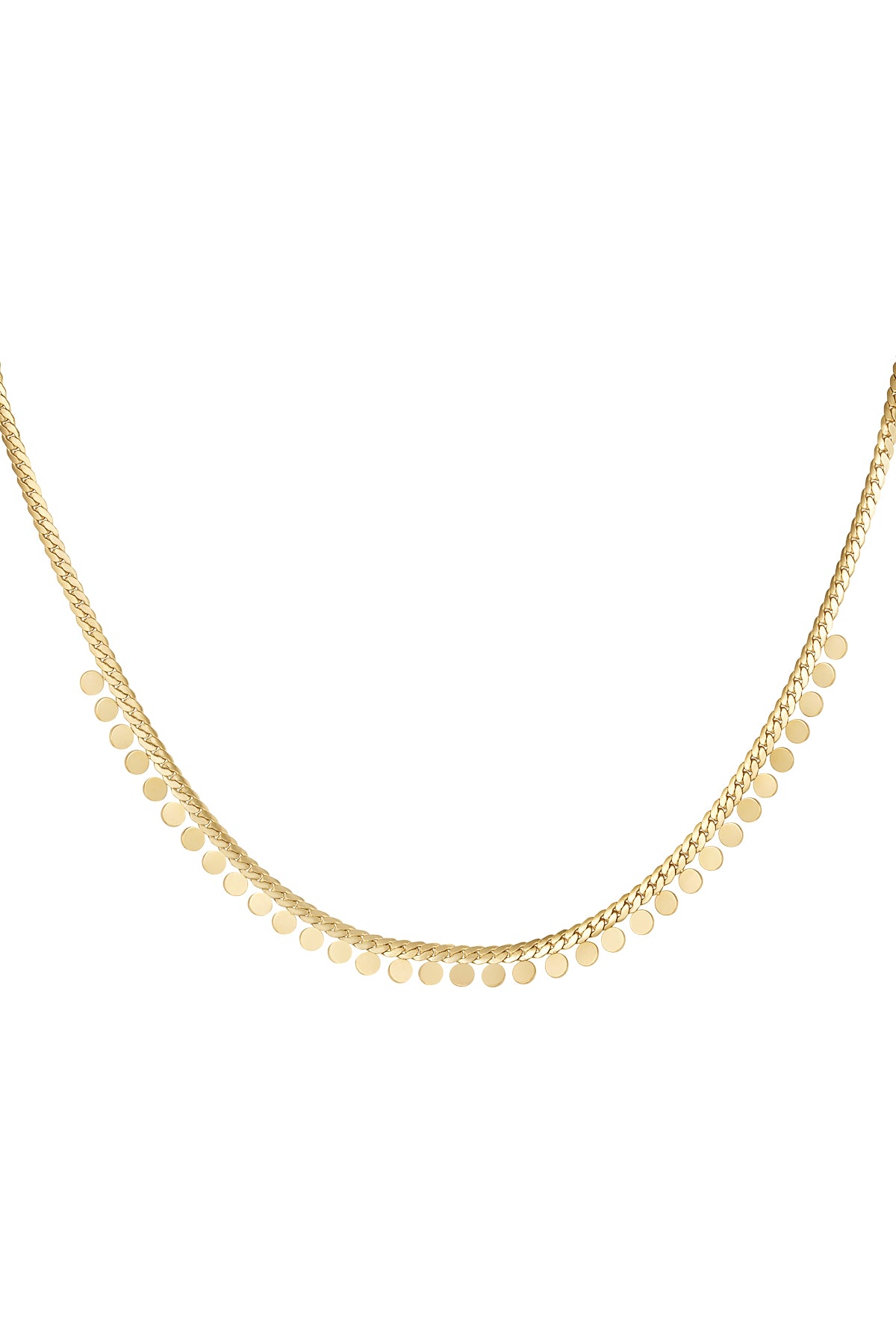 Ketting muntjes - Zilver Stainless Steel