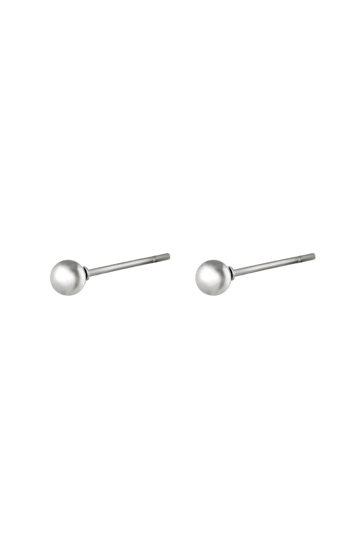 Oorbellen Big Dot Stainless Steel