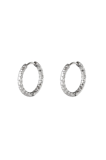 Oorringen van roestvrij staal Zilver Stainless Steel