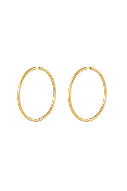 RVS oorbellen hoops medium Goud kleur Stainless Steel