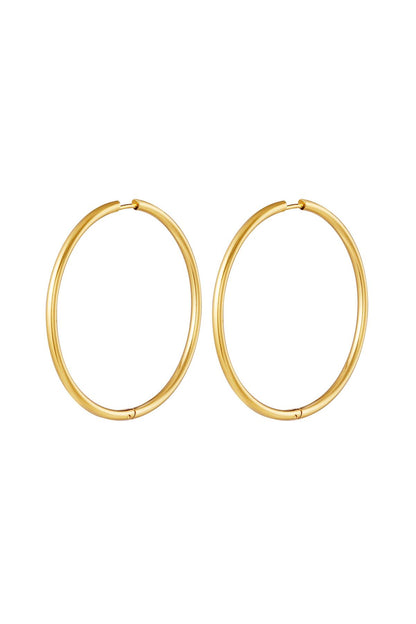 RVS oorbellen hoops groot Goud kleur Stainless Steel
