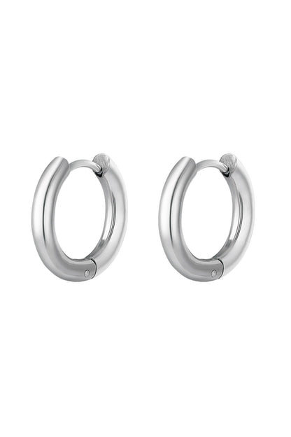 Creolen simpel L Goud kleur Stainless Steel