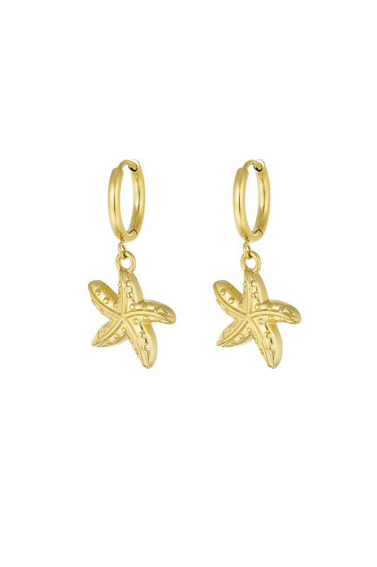 oorbellen special starfish