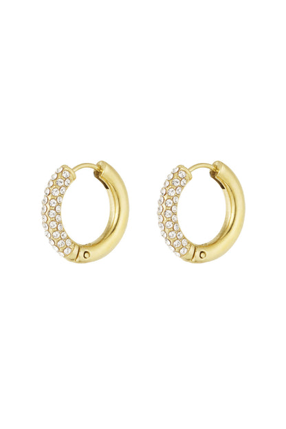 Shiny Rings oorbellen