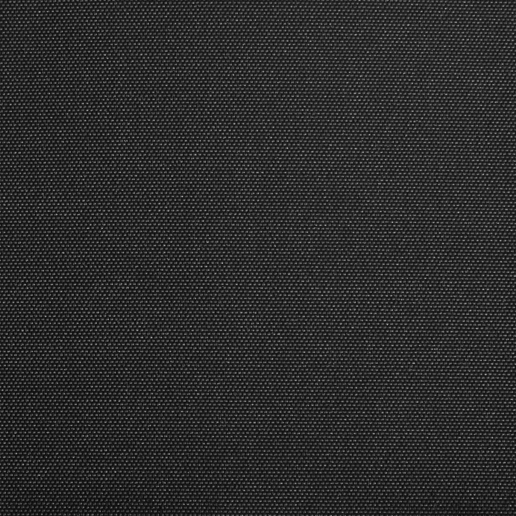 Luifel Handmatig Uittrekbaar 300 Cm Antraciet