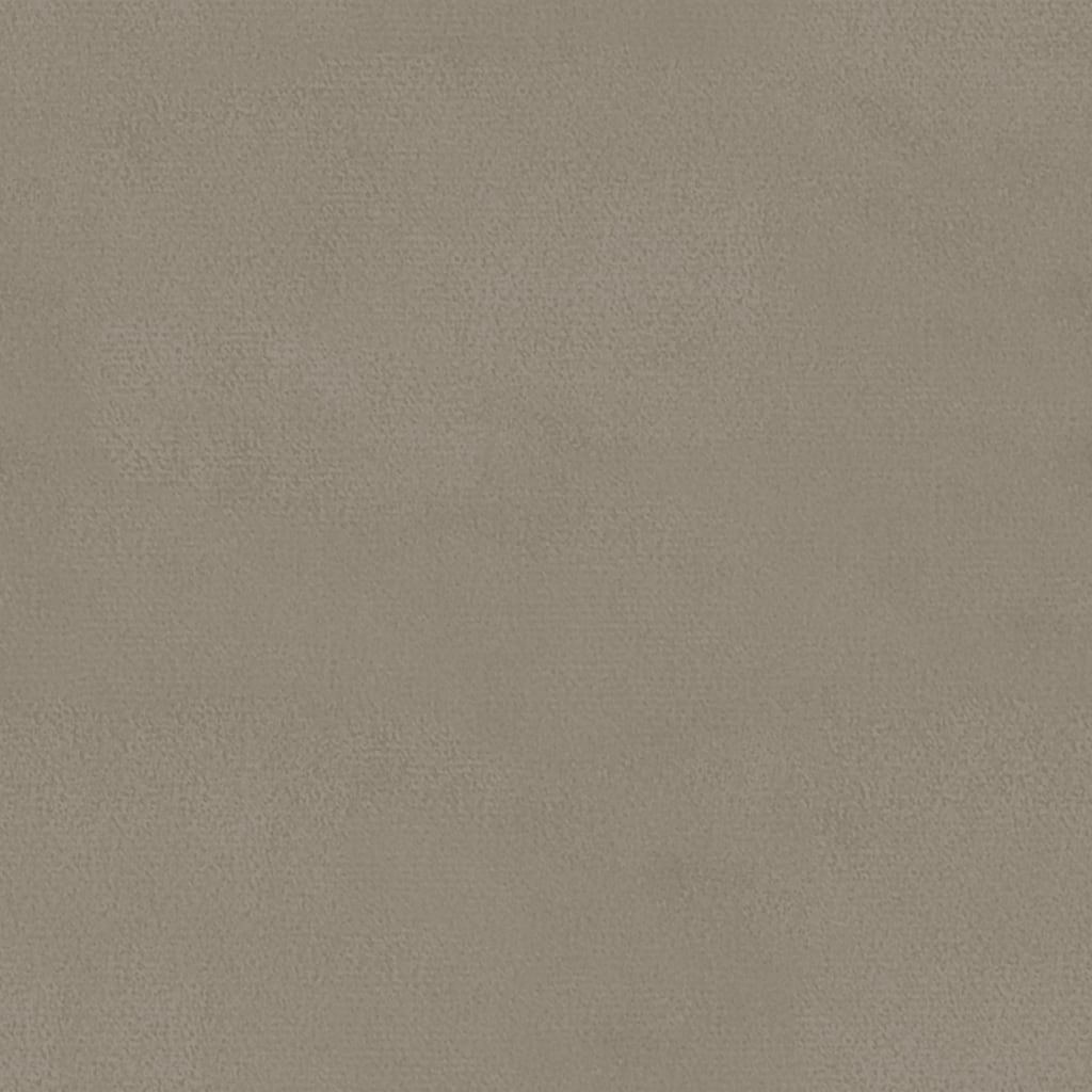 Eetkamerstoelen 2 St Fluweel Lichtgrijs