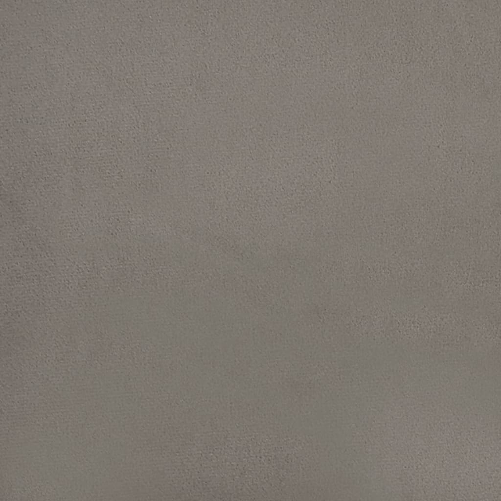 Eetkamerstoelen 2 St Fluweel Lichtgrijs