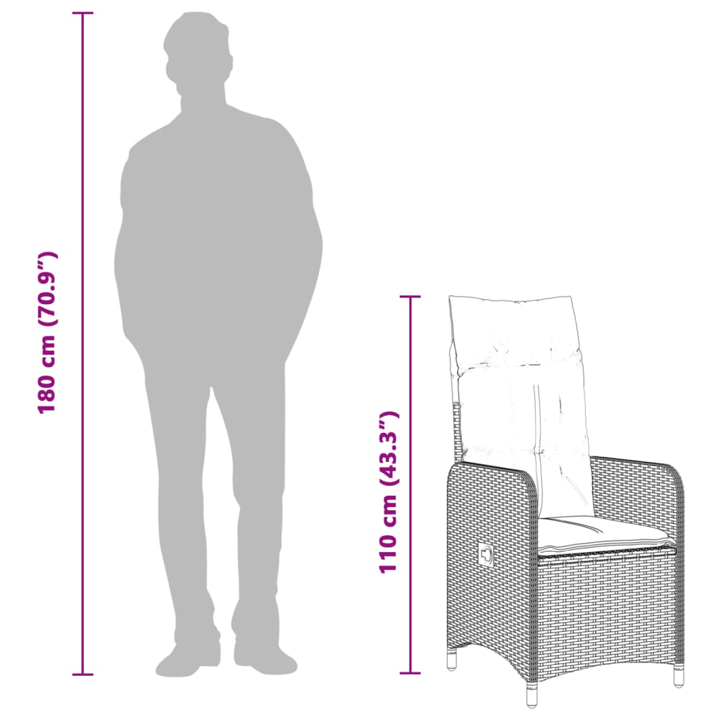 Tuinstoel Verstelbaar Met Kussens Poly Rattan
